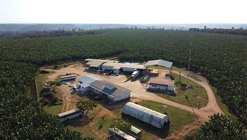 imagem unidade Fazenda Floresta – BA  (Nova Viçosa)